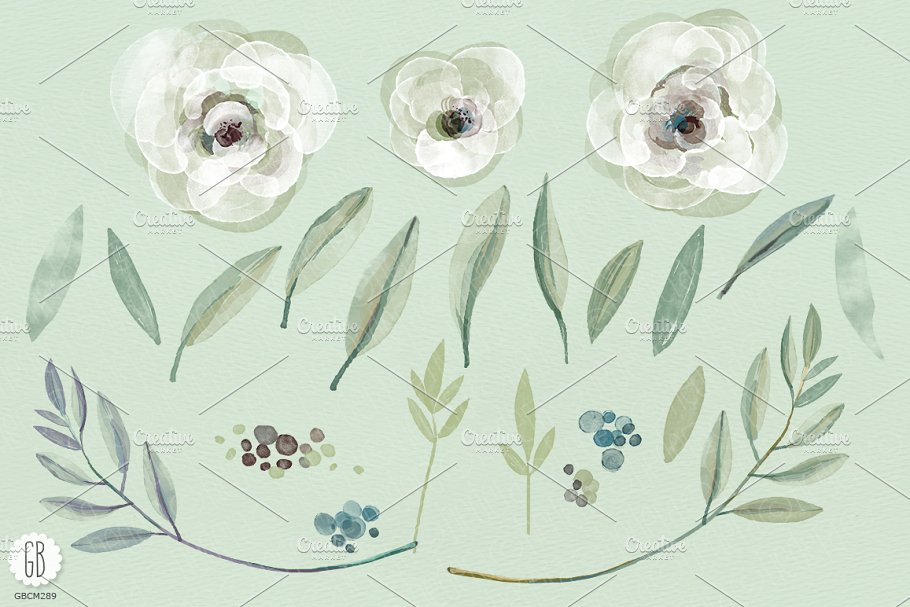 水彩白色橄榄枝橄榄花素材 watercolor white roses and olive