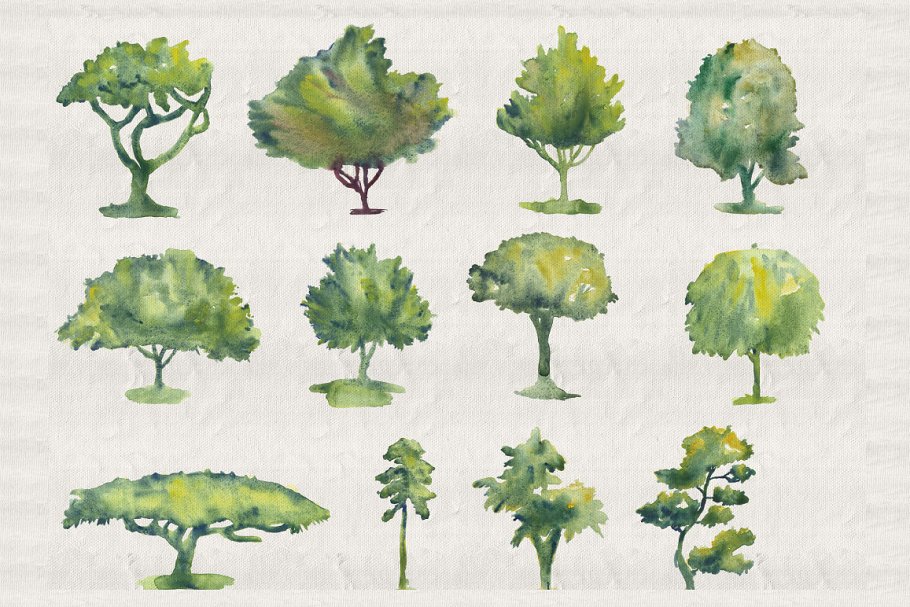 44颗漂亮的水彩画树素材 collection of 44 watercolor trees