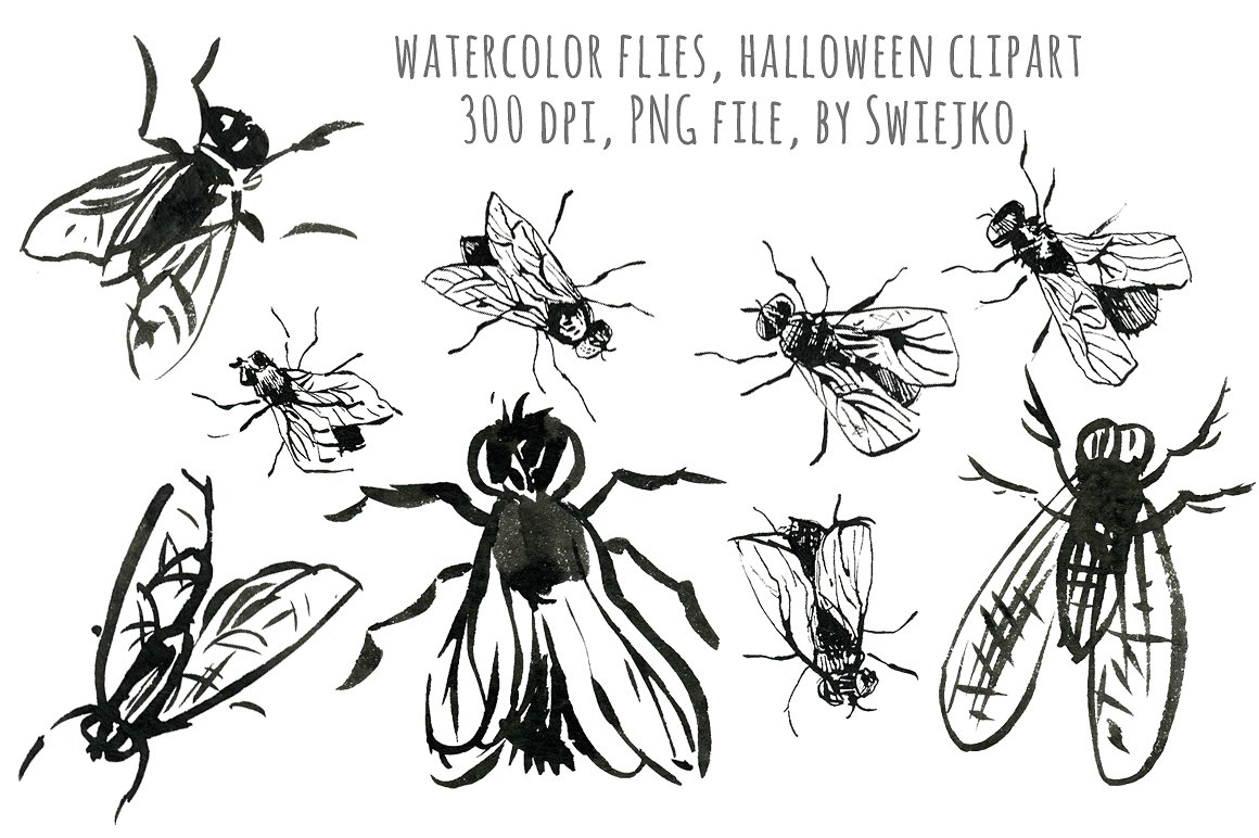 水彩苍蝇剪贴画 watercolor flies halloween