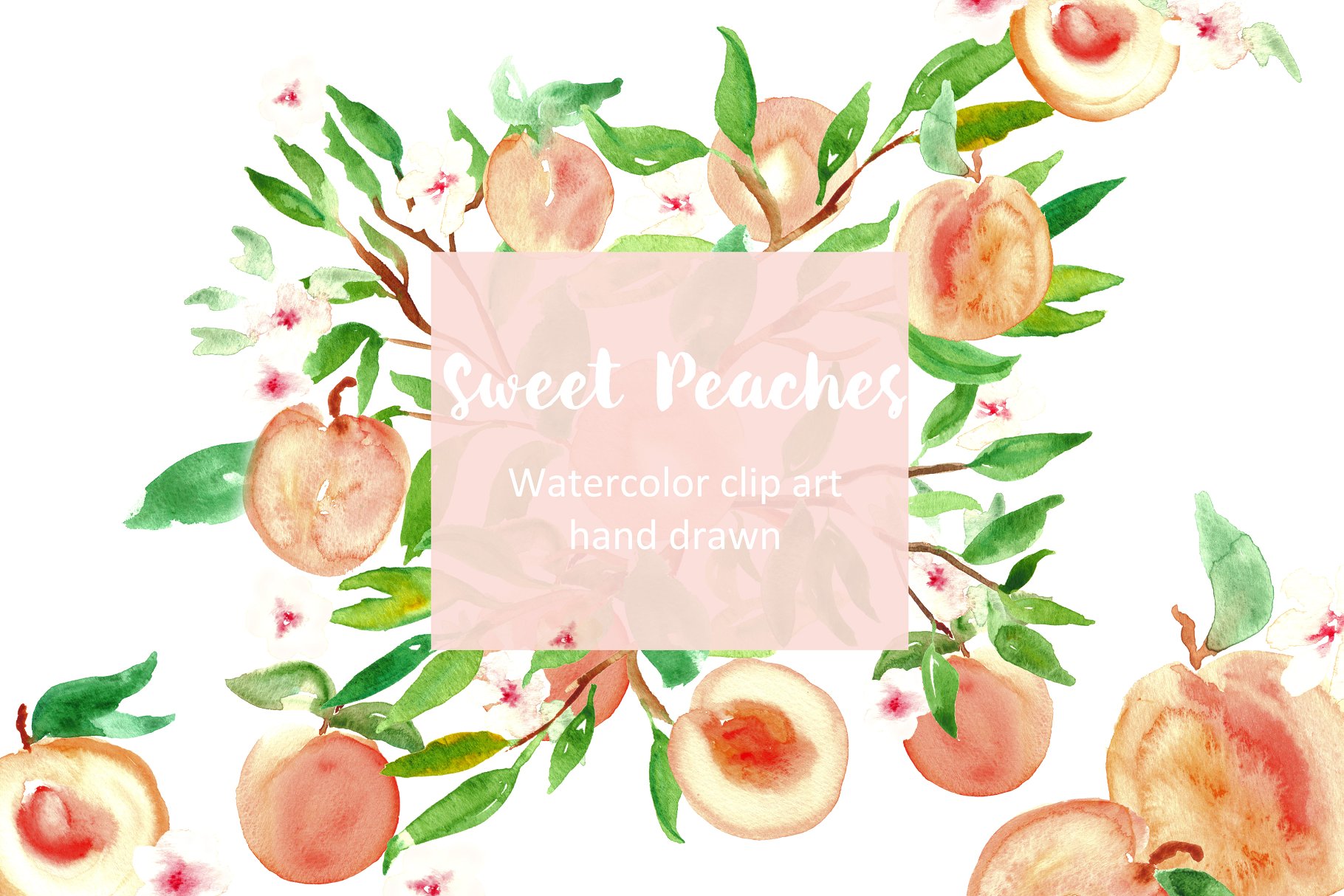 水蜜桃水彩图形素材 peach. watercolor clipart.