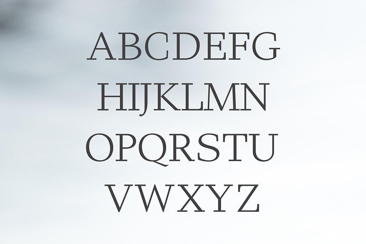 时尚简约多用途的haddie modern serif英文字体系列