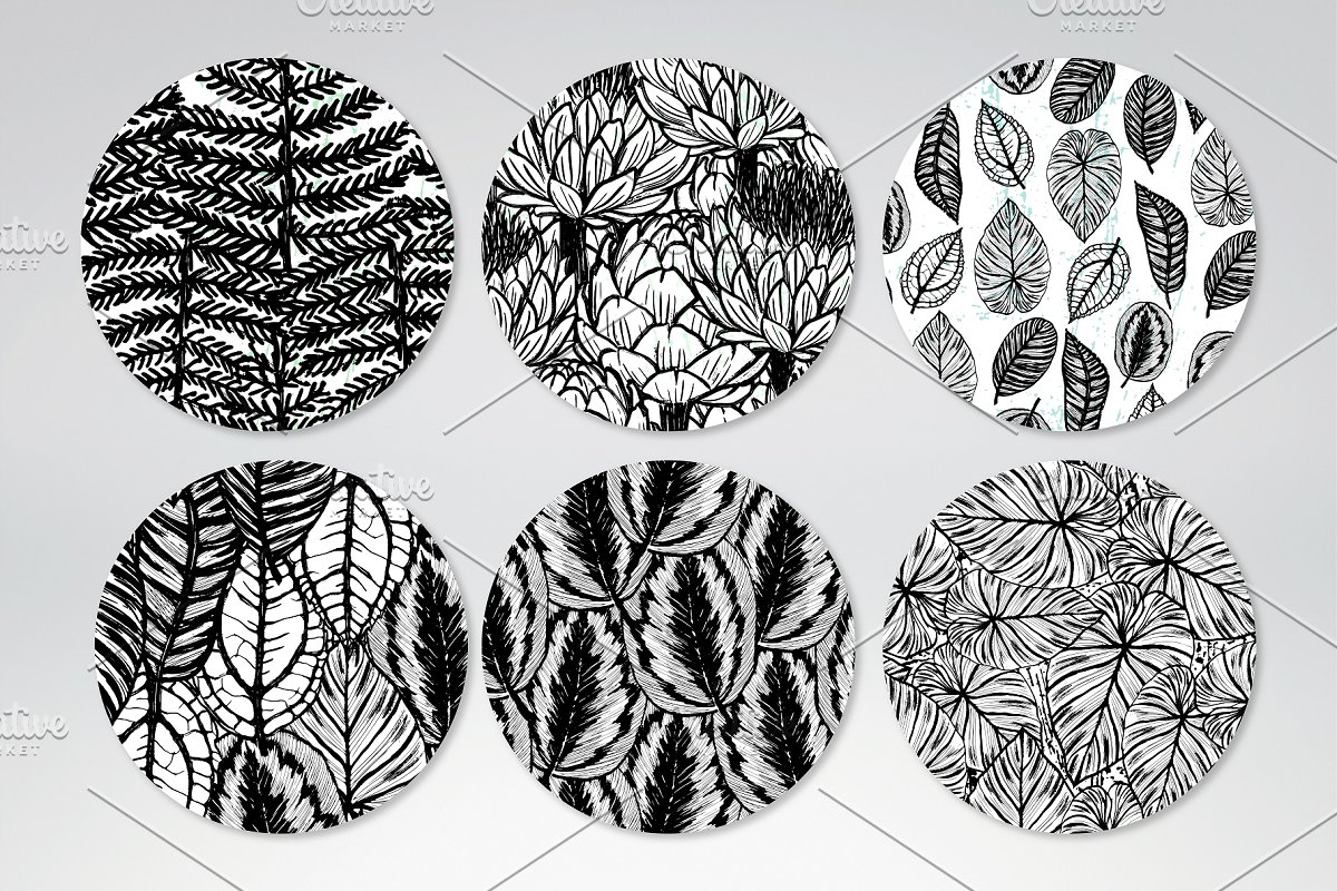 15个黑白手绘植物图案素材[eps 云瑞设计