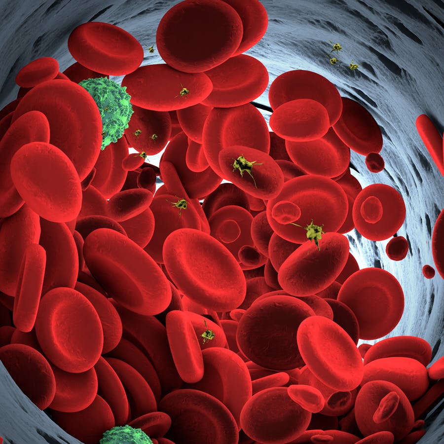 带有冠状病毒的血液血流红细胞背景底纹纹理集合