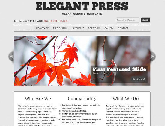 Elegant Press: Free Website Template