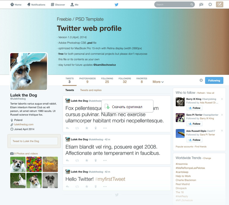 Twitter Web Profile Template in 35 Free and Flat PSD Web Templates