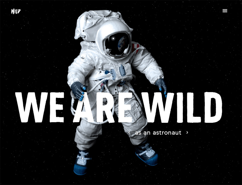 WILD in 33 New Websites with Clean and Minimalist Design