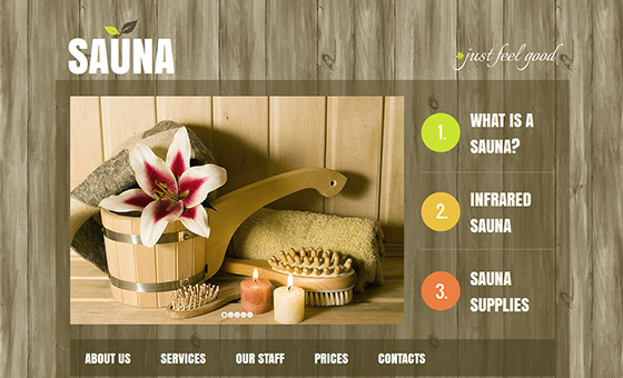 - Sauna Website Design with Wood Texture