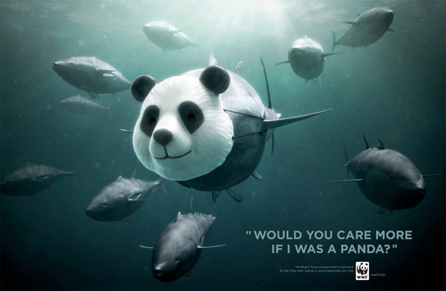 Social Issue Ads - Would You Care More If I was a Panda?