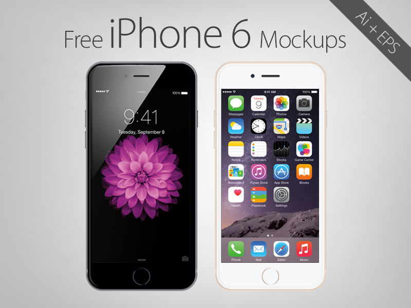 Free Vector Apple iPhone 6 Mockups by Zee Que in 35个新鲜的iPhone6展示模型PSD下载