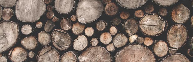 木材与森林相关的素材背景图片下载