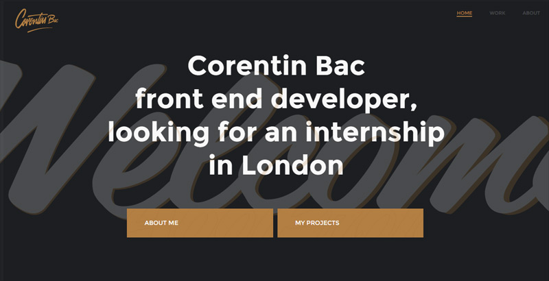 Corentin Bac in 全新的35个干净的极简主义网站设计欣赏