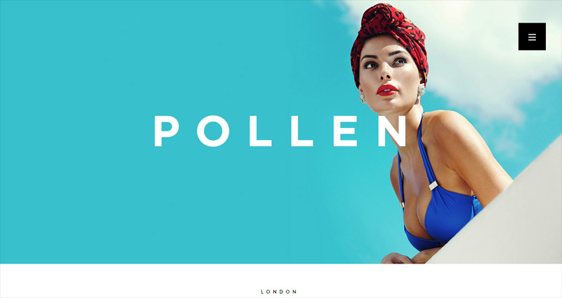 Pollen in 全新的35个干净的极简主义网站设计欣赏