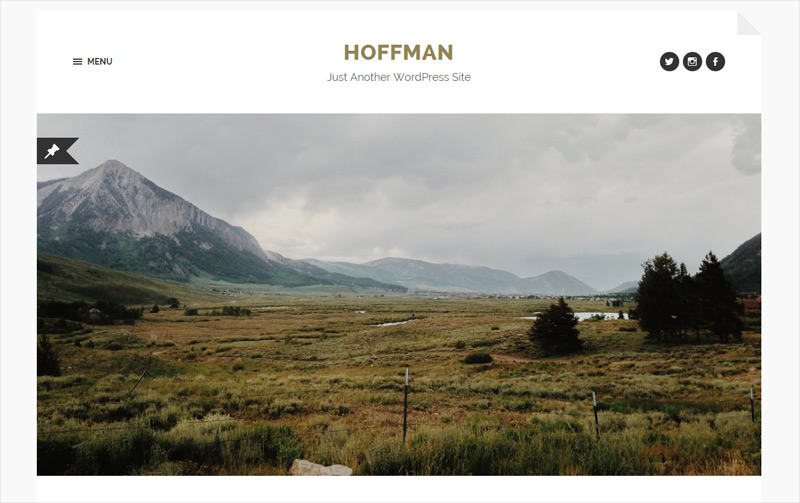 Hoffman in 2014年10月出炉的35个特别的Wordpress皮肤下载