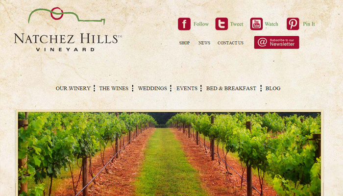 30个值得赞叹的葡萄酒厂和葡萄庄园网站设计欣赏natchez hills vineyard grunge tan website