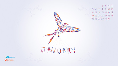 2015年1月的最新的有创意的壁纸下载The Early January Bird