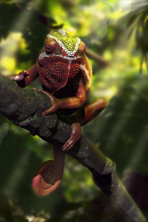 Chameleon by Virginie Simard in 2015年2月最新最炫的3D角色设定设计效果欣赏