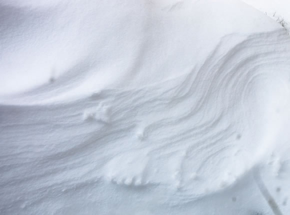 23个新鲜的设计纹理背景素材下载Snow Textures
