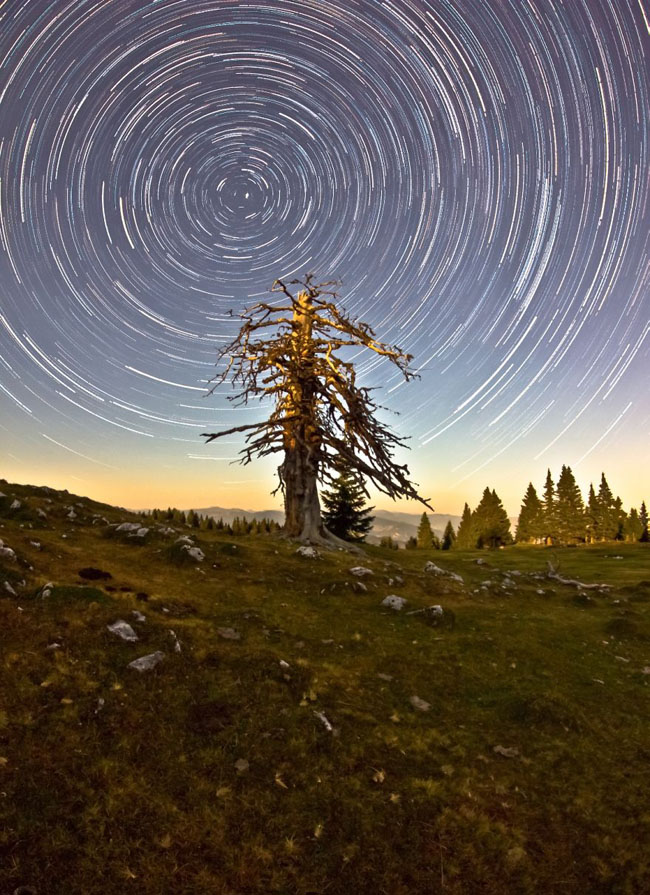 75个这个世界上最迷人的夜晚星空图效果欣赏Orbital Motion Dead Tree