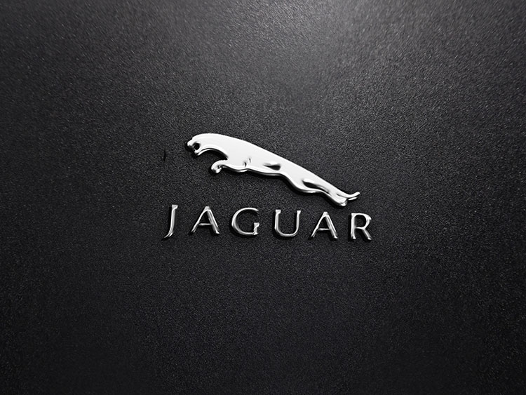 JAGUAR 捷豹不锈钢金属logo Photoshop 图层样式 PSD下载