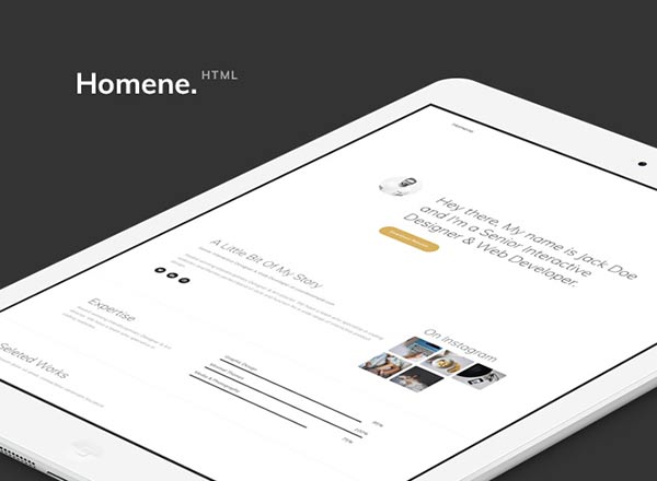 简洁大方的在线简历展示网页模板 Homene HTML Template
