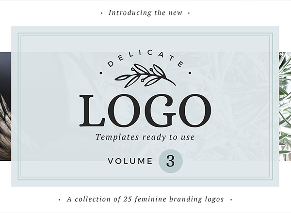 25精致的适合女性相关设计的标志logo集合