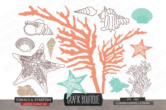 海洋元素插画 Coral starfish shell vector