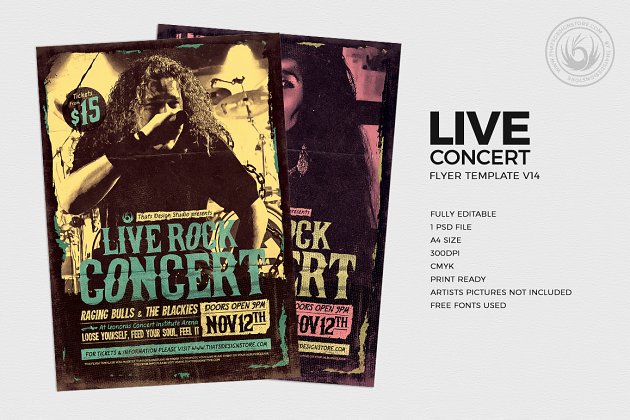 演唱会海报模版 Live Concert Flyer PSD V14