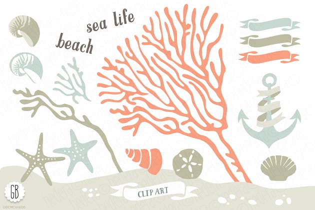 珊瑚插画素材 Beach sea corals nautical 06