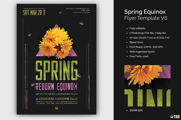 春分主题海报 Spring Equinox Flyer PSD V6