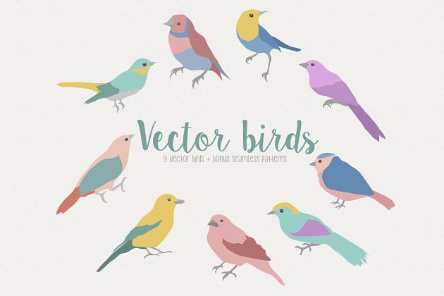 鸟类矢量插画 Vector Garden Birds Pro