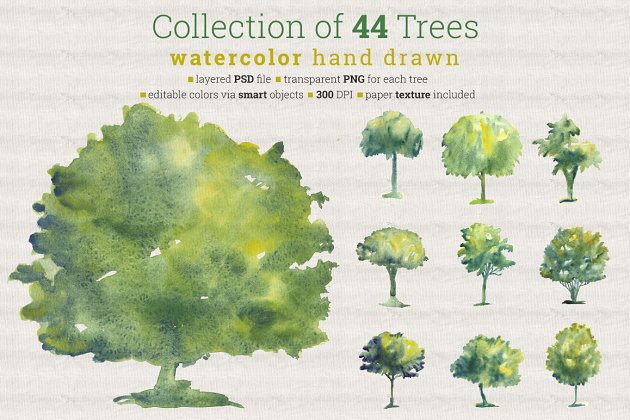 44颗漂亮的水彩画树素材 Collection of 44 Watercolor Trees