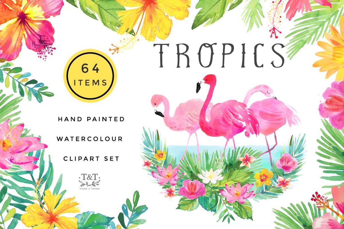 火烈鸟/热带植物水彩素材 Watercolour Clipart Set – Tropics