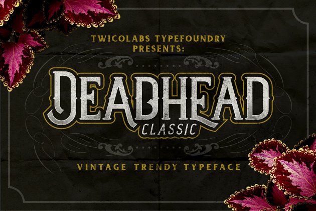 适合表现万圣节的英文字体 Deadhead Classic