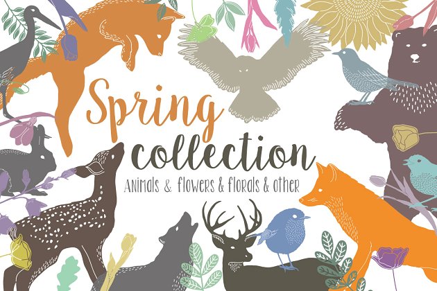 春天相关的动物素材合集 Spring Collection Pro