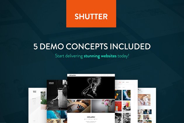 博客主题网站模板 Shutter – Photography WP Theme