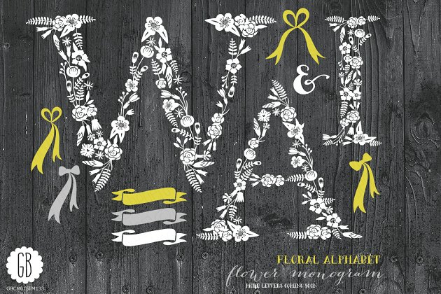 创意花卉丝带插画 Floral letters, rustic, white WAI
