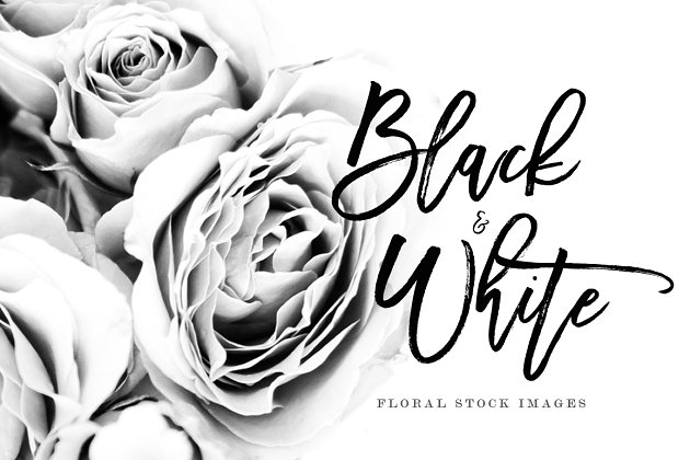 14黑白花卉图片 14 Black & White Floral Stock Images