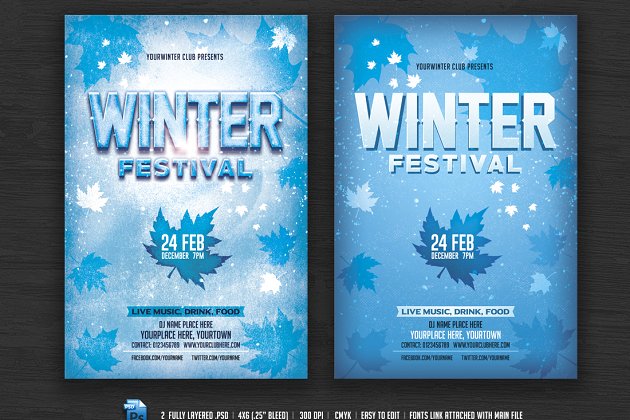 冬季节日海报 Winter Festival Flyer