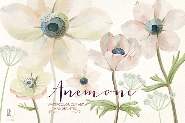 银莲花水彩素材 Watercolor anemones