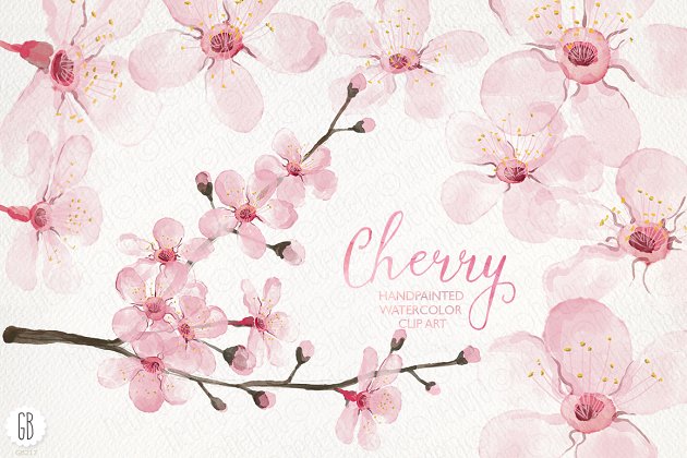 水彩樱花插画素材 Watercolor cherry blossom, spring