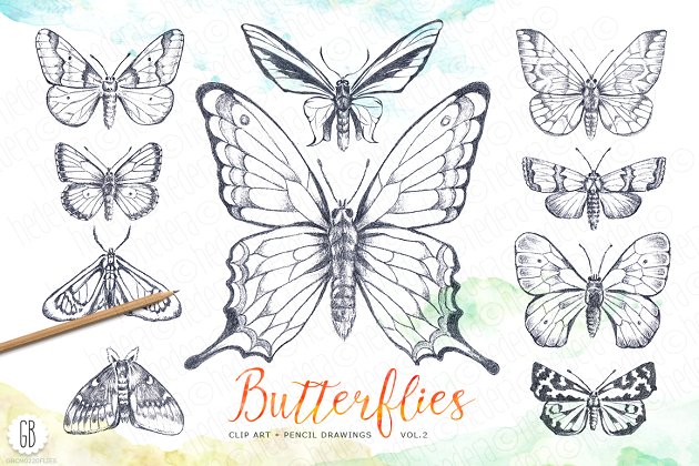 蝴蝶手绘铅笔素材 Butterfly, pencil drawing