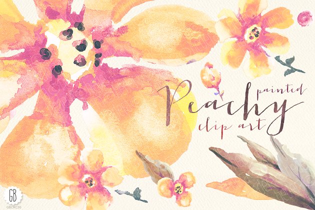 水彩桃花剪贴画 Aquarelle peach flowers clip art