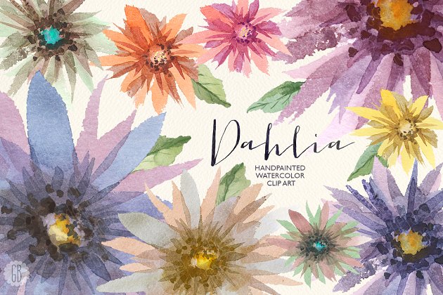 水彩花卉插画 Aquarelle dahlia flowers