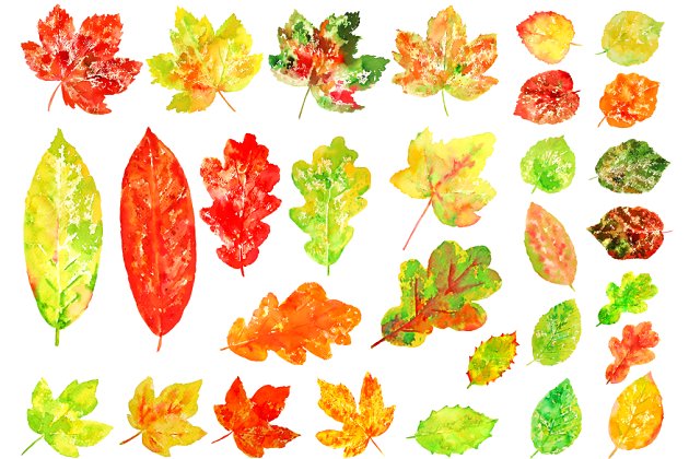 秋季水彩树叶素材 Watercolor Colorful Leaves Clipart