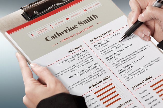现代简历模板 Charted modern resume template