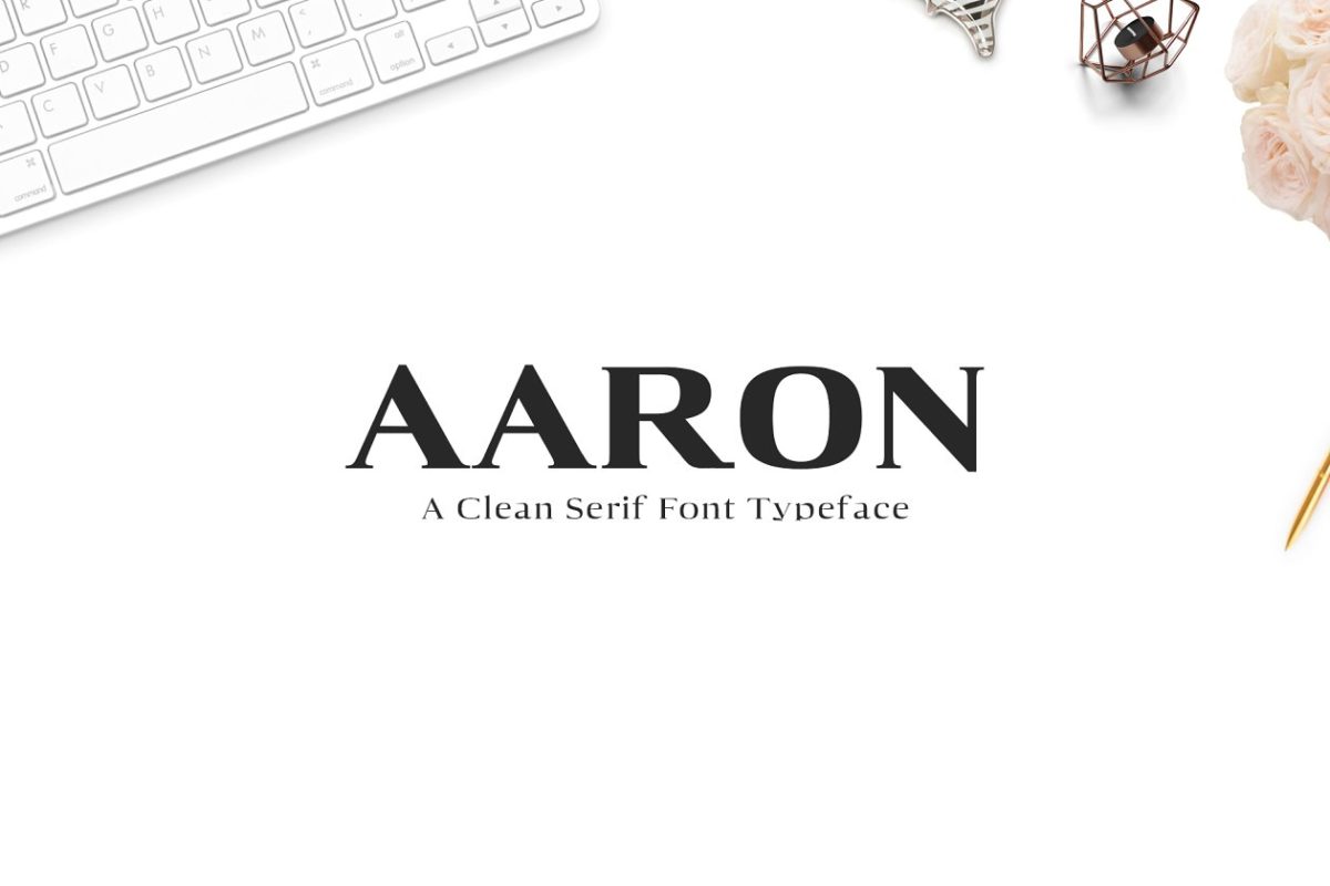 时尚设计字体 Aaron Serif 6 Font Family