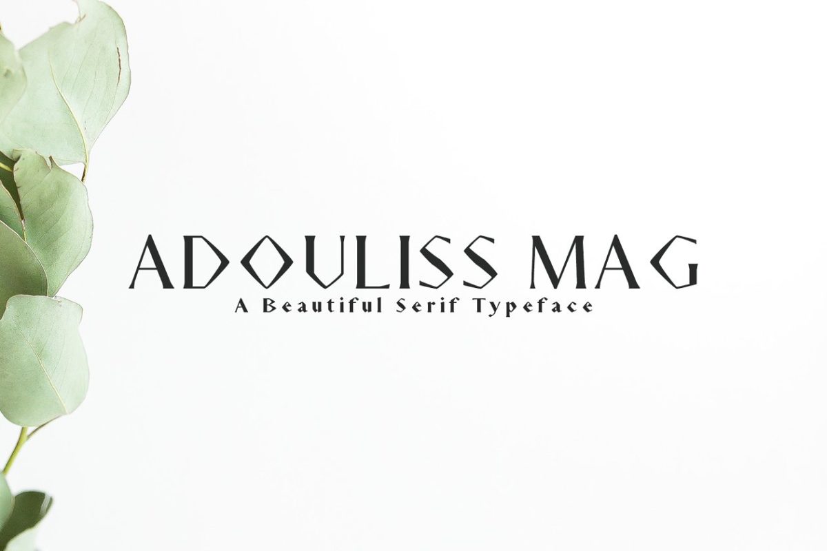 方格字体 Adouliss Mag Serif 9 Font Family