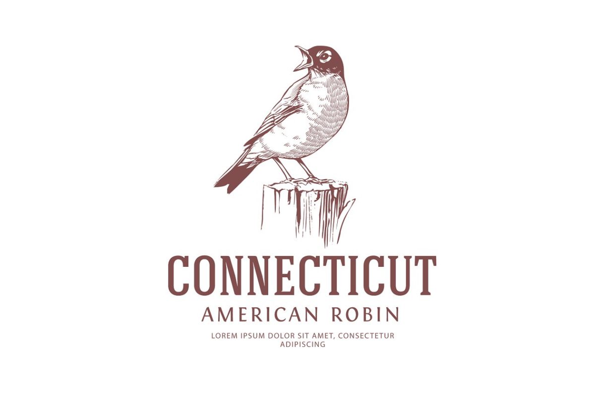 美国罗宾复古鸟标志LOGO模板 American Robin Vintage Bird Logo