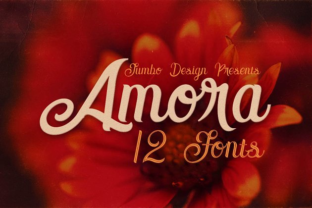手绘花卉字体 Amora – 12 Script Fonts