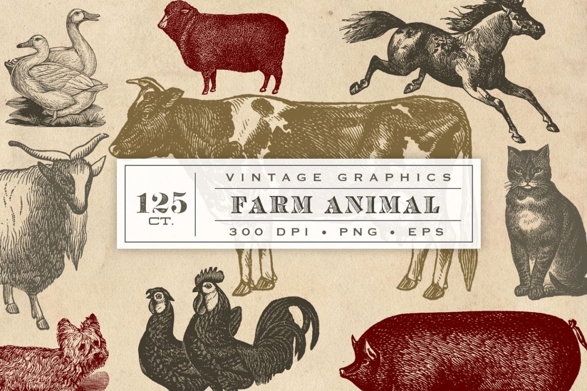 经典的动物矢量图形 Vintage Farm Animal Vector Graphics